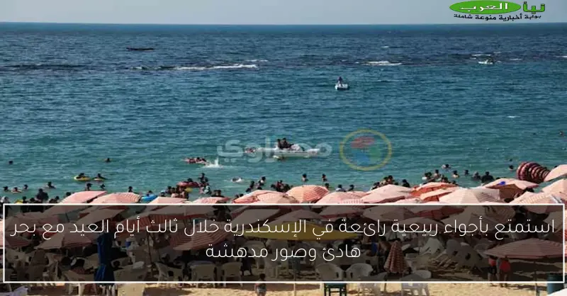 استمتع بأجواء ربيعية رائعة في الإسكندرية خلال ثالث أيام العيد مع بحر هادئ وصور مدهشة