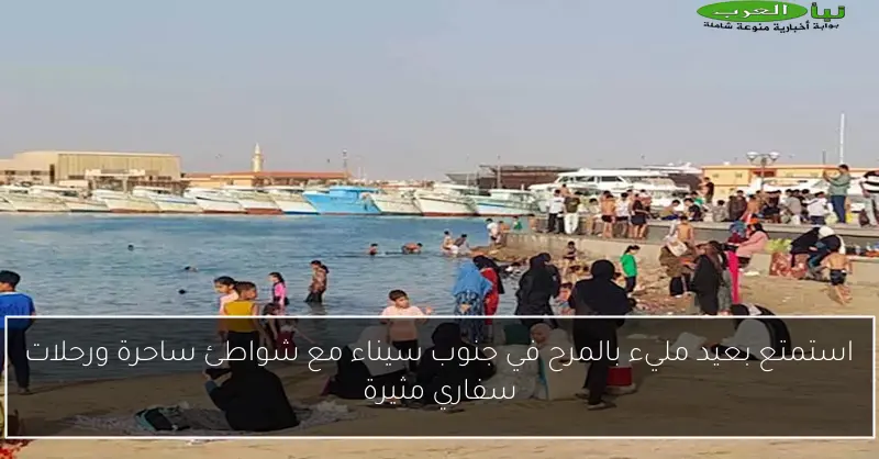 استمتع بعيد مليء بالمرح في جنوب سيناء مع شواطئ ساحرة ورحلات سفاري مثيرة