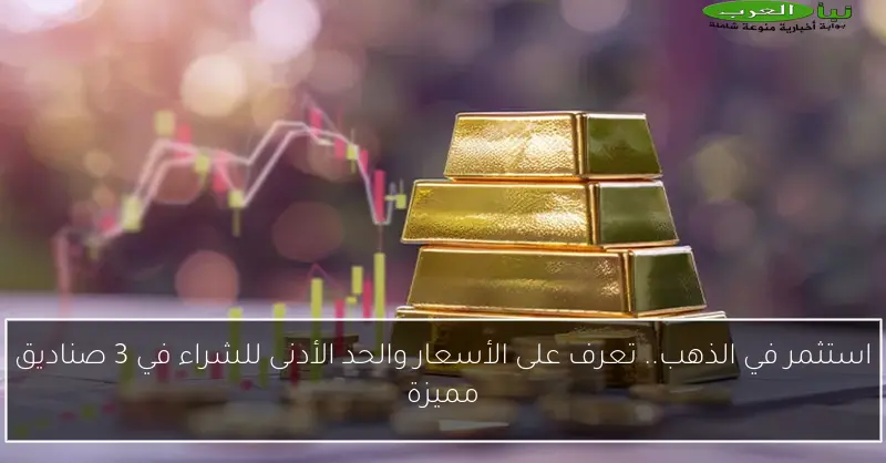 استثمر في الذهب.. تعرف على الأسعار والحد الأدنى للشراء في 3 صناديق مميزة