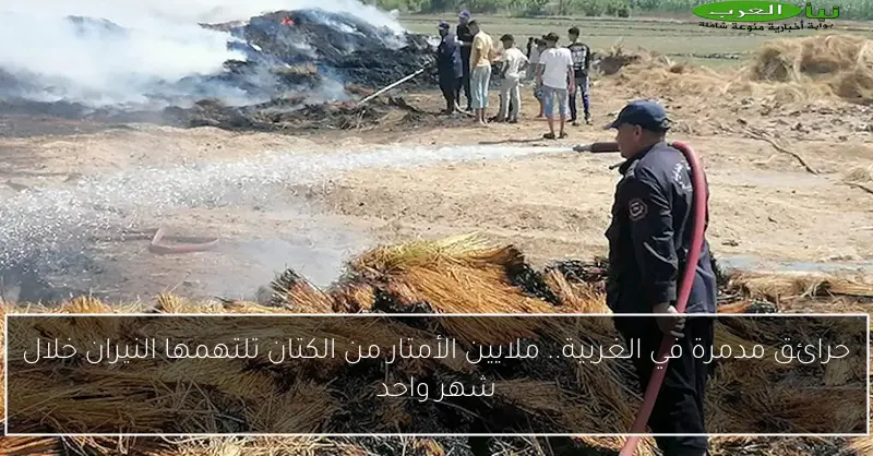 حرائق مدمرة في الغربية.. ملايين الأمتار من الكتان تلتهمها النيران خلال شهر واحد