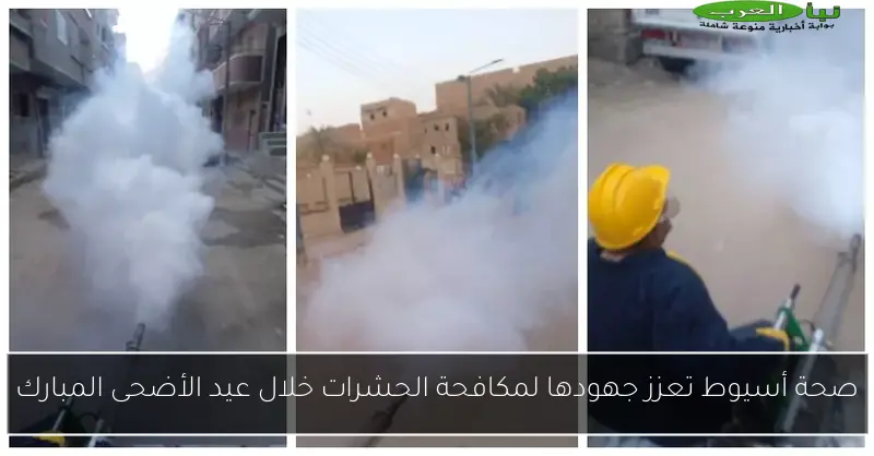 صحة أسيوط تعزز جهودها لمكافحة الحشرات خلال عيد الأضحى المبارك
