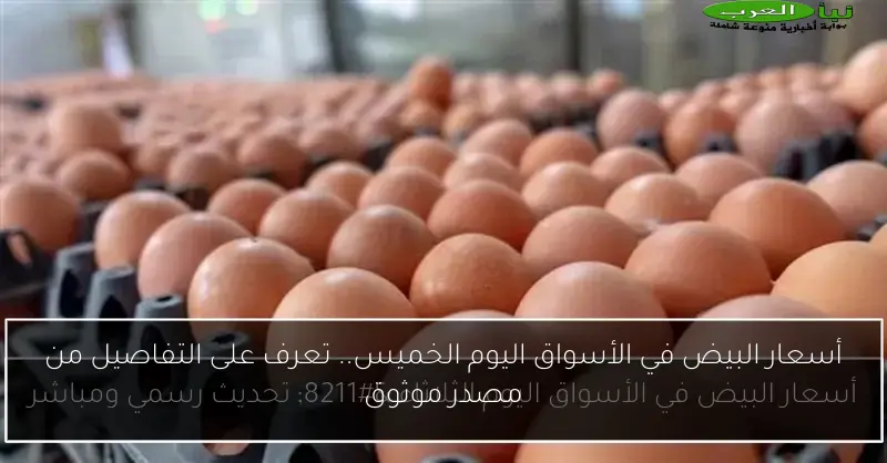 أسعار البيض في الأسواق اليوم الخميس.. تعرف على التفاصيل من مصدر موثوق