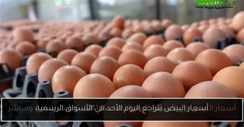 أسعار البيض تتراجع اليوم الأحد في الأسواق الرسمية