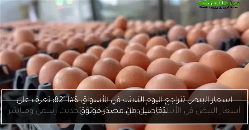 أسعار البيض تتراجع اليوم الثلاثاء في الأسواق – تعرف على التفاصيل من مصدر موثوق