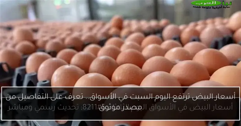 أسعار البيض ترتفع اليوم السبت في الأسواق.. تعرف على التفاصيل من مصدر موثوق