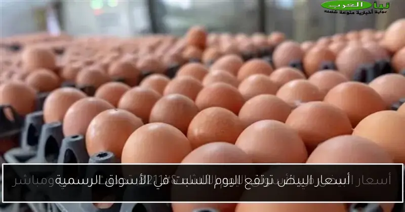 أسعار البيض ترتفع اليوم السبت في الأسواق الرسمية
