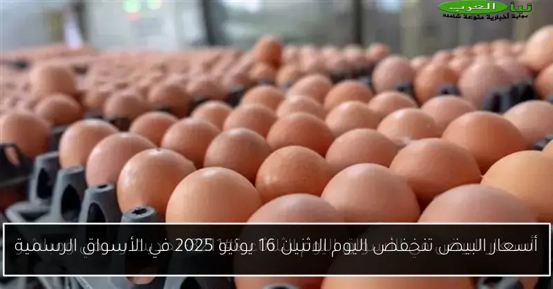 أسعار البيض تنخفض اليوم الاثنين 16 يونيو 2025 في الأسواق الرسمية
