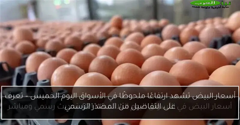 أسعار البيض تشهد ارتفاعًا ملحوظًا في الأسواق اليوم الخميس – تعرف على التفاصيل من المصدر الرسمي