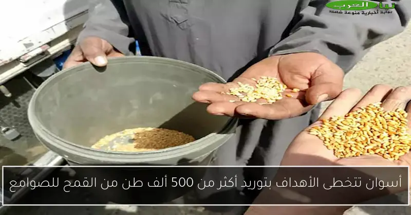 أسوان تتخطى الأهداف بتوريد أكثر من 500 ألف طن من القمح للصوامع