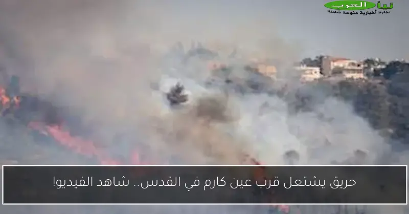 حريق يشتعل قرب عين كارم في القدس.. شاهد الفيديو!
