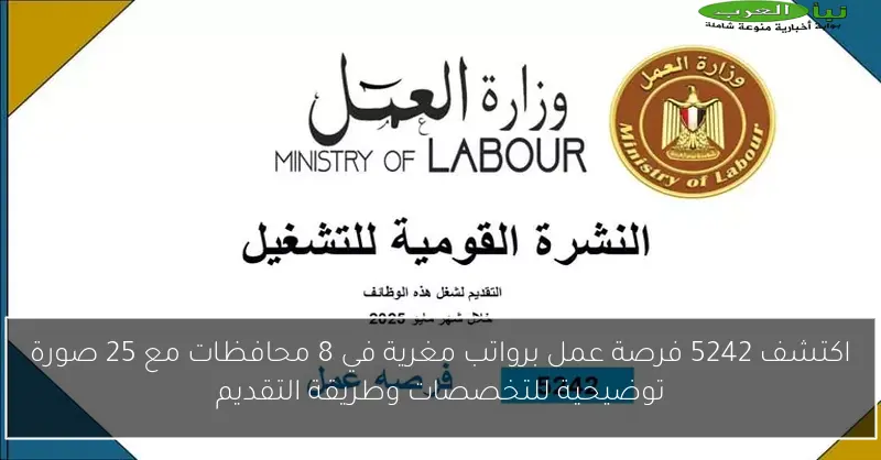 اكتشف 5242 فرصة عمل برواتب مغرية في 8 محافظات مع 25 صورة توضيحية للتخصصات وطريقة التقديم