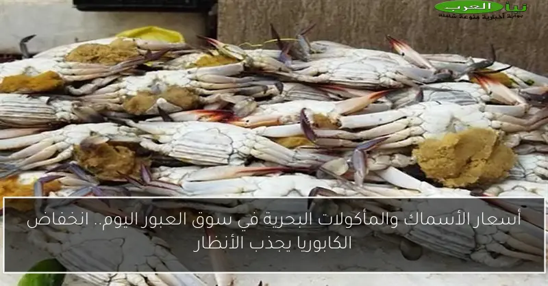 أسعار الأسماك والمأكولات البحرية في سوق العبور اليوم.. انخفاض الكابوريا يجذب الأنظار