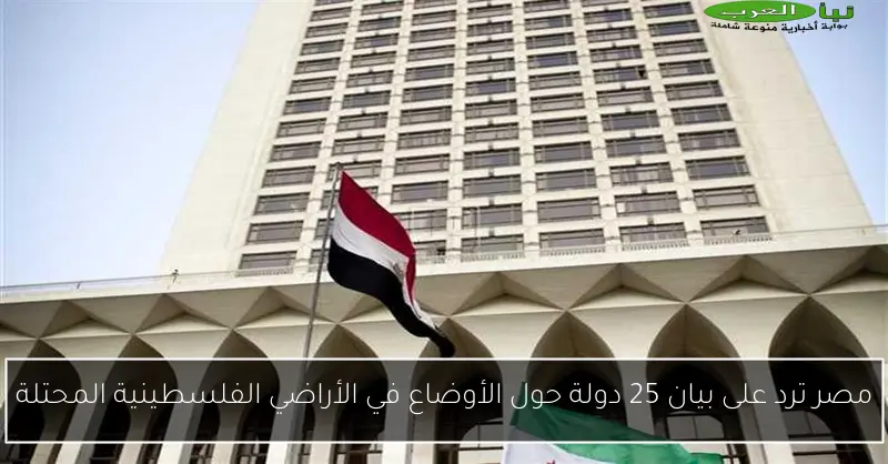 مصر ترد على بيان 25 دولة حول الأوضاع في الأراضي الفلسطينية المحتلة