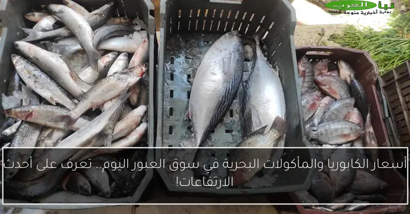 أسعار الكابوريا والمأكولات البحرية في سوق العبور اليوم.. تعرف على أحدث الارتفاعات!