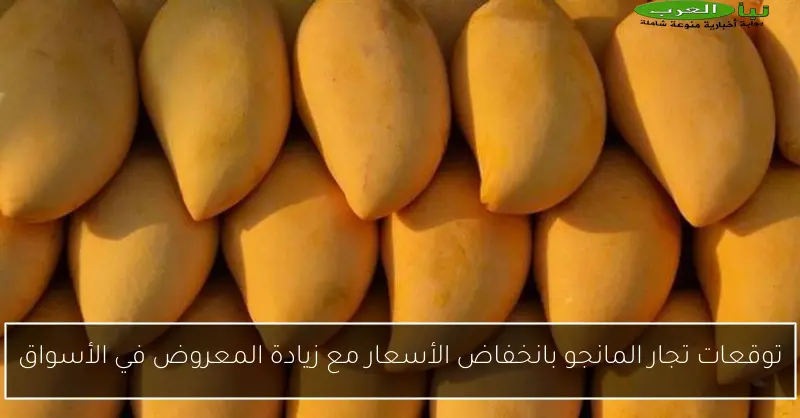 توقعات تجار المانجو بانخفاض الأسعار مع زيادة المعروض في الأسواق