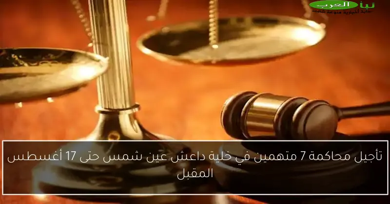 تأجيل محاكمة 7 متهمين في خلية داعش عين شمس حتى 17 أغسطس المقبل