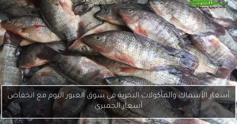 أسعار الأسماك والمأكولات البحرية في سوق العبور اليوم مع انخفاض أسعار الجمبري