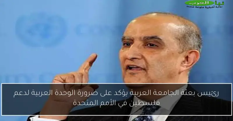 رئيس بعثة الجامعة العربية يؤكد على ضرورة الوحدة العربية لدعم فلسطين في الأمم المتحدة