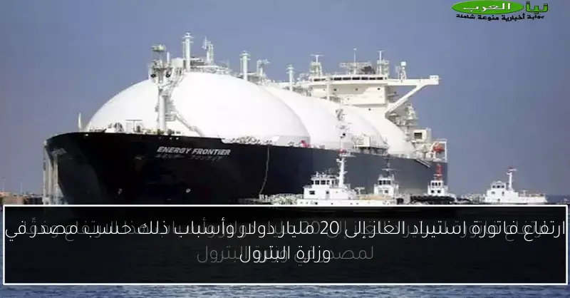 ارتفاع فاتورة استيراد الغاز إلى 20 مليار دولار وأسباب ذلك حسب مصدر في وزارة البترول