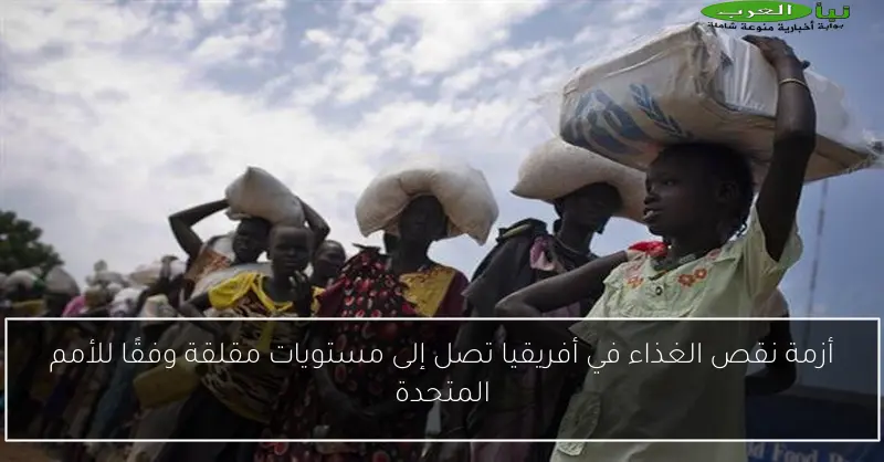 أزمة نقص الغذاء في أفريقيا تصل إلى مستويات مقلقة وفقًا للأمم المتحدة