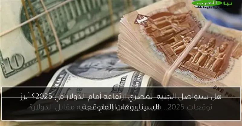 هل سيواصل الجنيه المصري ارتفاعه أمام الدولار في 2025؟ أبرز السيناريوهات المتوقعة