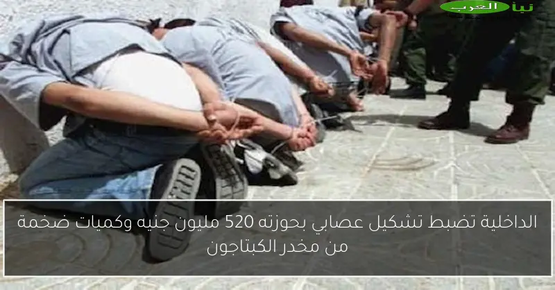 الداخلية تضبط تشكيل عصابي بحوزته 520 مليون جنيه وكميات ضخمة من مخدر الكبتاجون