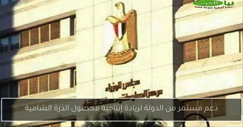 دعم مستمر من الدولة لزيادة إنتاجية محصول الذرة الشامية