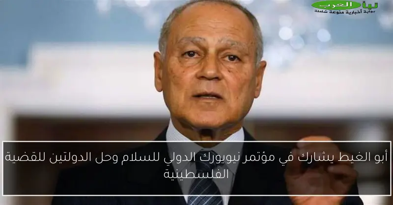 أبو الغيط يشارك في مؤتمر نيويورك الدولي للسلام وحل الدولتين للقضية الفلسطينية