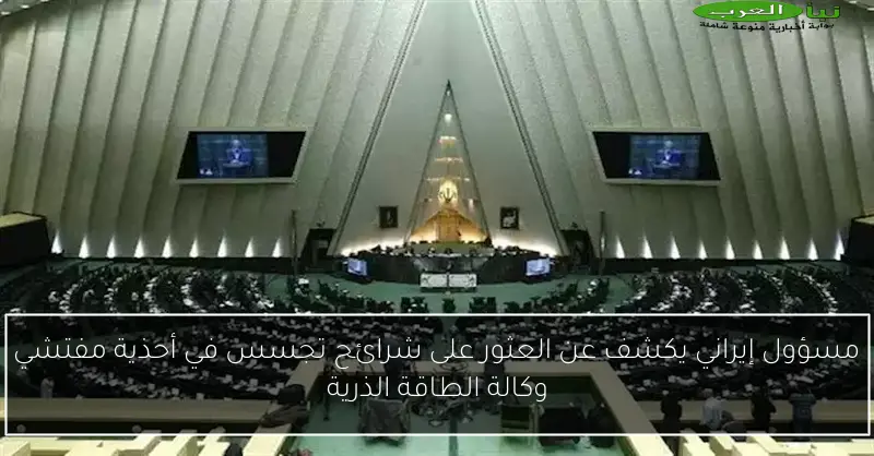 مسؤول إيراني يكشف عن العثور على شرائح تجسس في أحذية مفتشي وكالة الطاقة الذرية