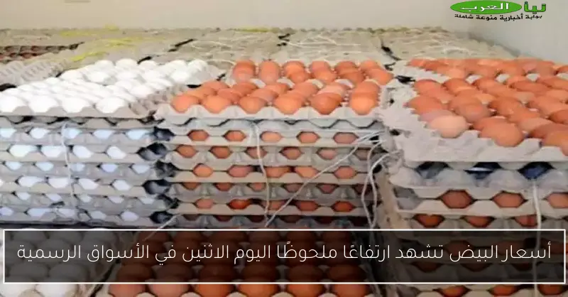 أسعار البيض تشهد ارتفاعًا ملحوظًا اليوم الاثنين في الأسواق الرسمية
