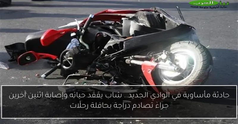 حادثة مأساوية في الوادي الجديد.. شاب يفقد حياته وإصابة اثنين آخرين جراء تصادم دراجة بحافلة رحلات