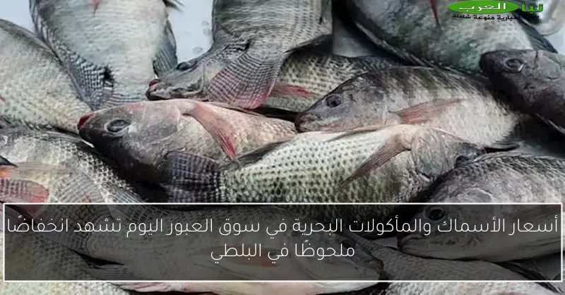 أسعار الأسماك والمأكولات البحرية في سوق العبور اليوم تشهد انخفاضًا ملحوظًا في البلطي