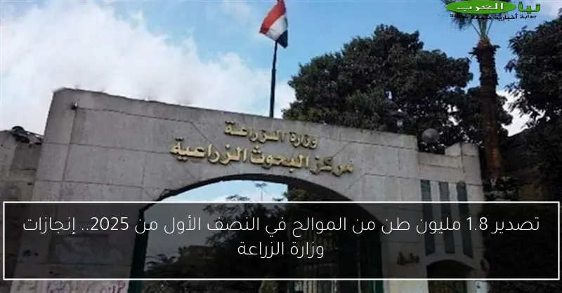 تصدير 1.8 مليون طن من الموالح في النصف الأول من 2025.. إنجازات وزارة الزراعة