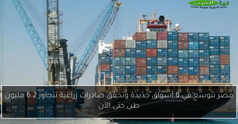 مصر تتوسع في 8 أسواق جديدة وتحقق صادرات زراعية تتجاوز 6.2 مليون طن حتى الآن