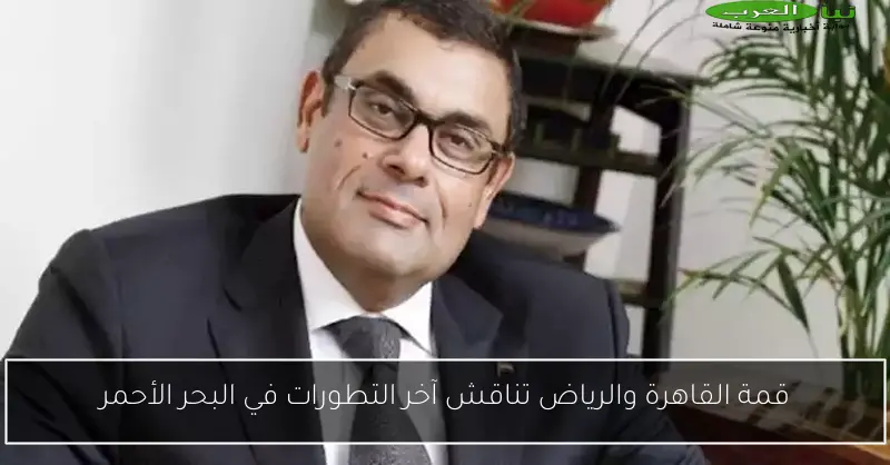 قمة القاهرة والرياض تناقش آخر التطورات في البحر الأحمر