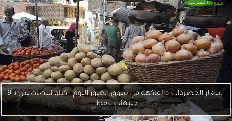 أسعار الخضروات والفاكهة في سوق العبور اليوم.. كيلو البطاطس بـ 9 جنيهات فقط!