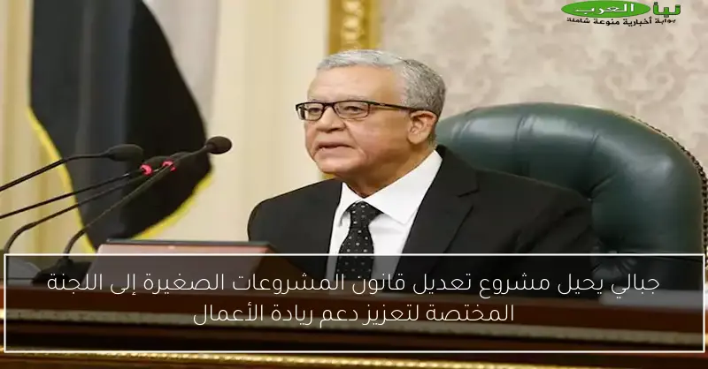 جبالي يحيل مشروع تعديل قانون المشروعات الصغيرة إلى اللجنة المختصة لتعزيز دعم ريادة الأعمال