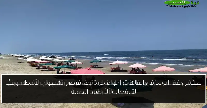 طقس غدًا الأحد في القاهرة: أجواء حارة مع فرص لهطول الأمطار وفقًا لتوقعات الأرصاد الجوية