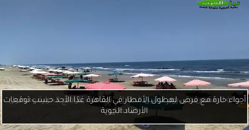 أجواء حارة مع فرص لهطول الأمطار في القاهرة غدًا الأحد حسب توقعات الأرصاد الجوية