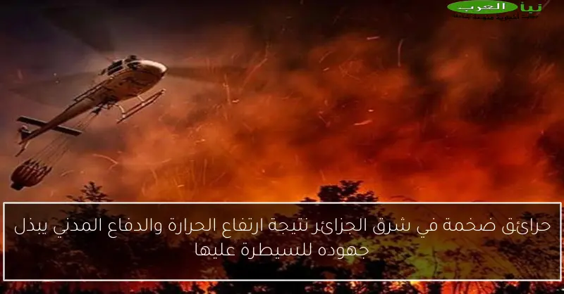 حرائق ضخمة في شرق الجزائر نتيجة ارتفاع الحرارة والدفاع المدني يبذل جهوده للسيطرة عليها