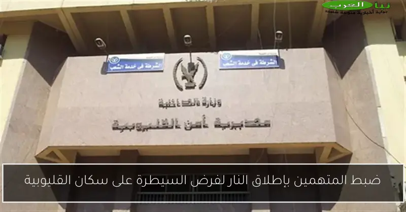 ضبط المتهمين بإطلاق النار لفرض السيطرة على سكان القليوبية