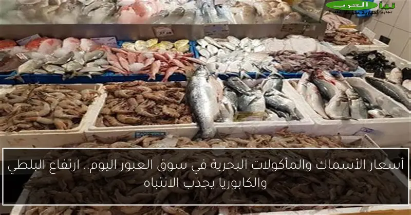 أسعار الأسماك والمأكولات البحرية في سوق العبور اليوم.. ارتفاع البلطي والكابوريا يجذب الانتباه