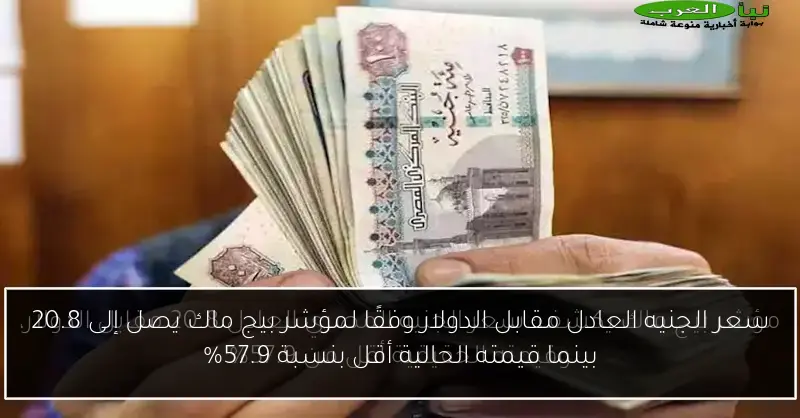سعر الجنيه العادل مقابل الدولار وفقًا لمؤشر بيج ماك يصل إلى 20.8 بينما قيمته الحالية أقل بنسبة 57.9%