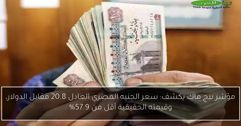 مؤشر بيج ماك يكشف: سعر الجنيه المصري العادل 20.8 مقابل الدولار، وقيمته الحقيقية أقل من 57.9%
