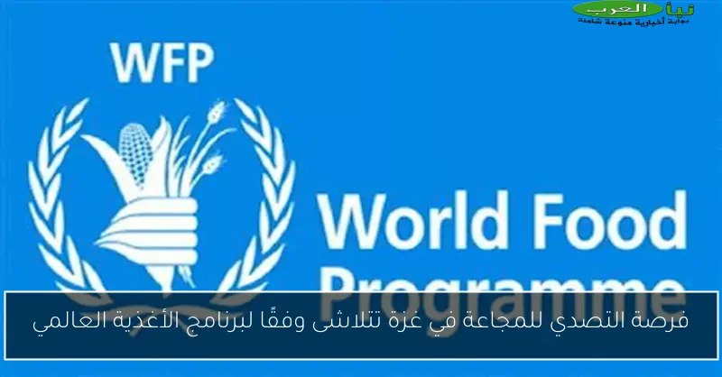 فرصة التصدي للمجاعة في غزة تتلاشى وفقًا لبرنامج الأغذية العالمي