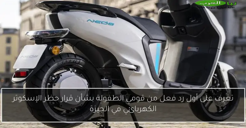 تعرف على أول رد فعل من قومي الطفولة بشأن قرار حظر الإسكوتر الكهربائي في الجيزة