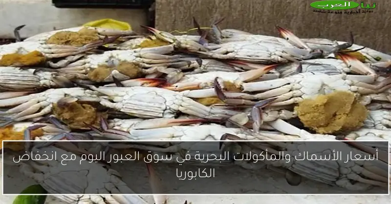 أسعار الأسماك والمأكولات البحرية في سوق العبور اليوم مع انخفاض الكابوريا