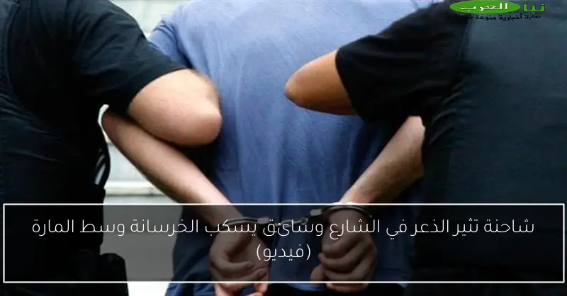 شاحنة تثير الذعر في الشارع وسائق يسكب الخرسانة وسط المارة (فيديو)