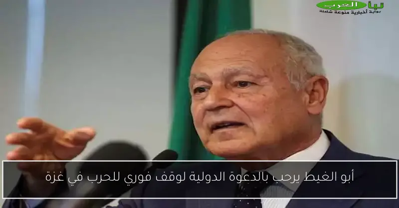 أبو الغيط يرحب بالدعوة الدولية لوقف فوري للحرب في غزة
