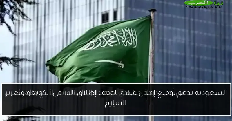 السعودية تدعم توقيع إعلان مبادئ لوقف إطلاق النار في الكونغو وتعزيز السلام